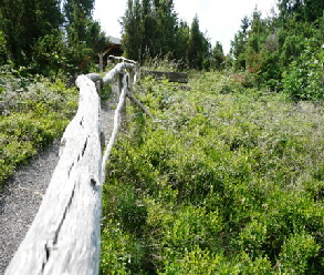 Wacholderheide Langscheid