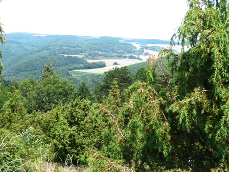 Ausbilck aus der Wacholderheide